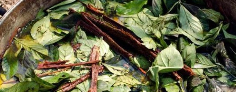Ayahuasca: è la dose che fa il veleno. Importanza di set e setting