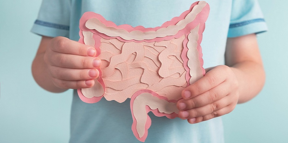 Stipsi funzionale. Estratto di malva miglior l’attività intestinale