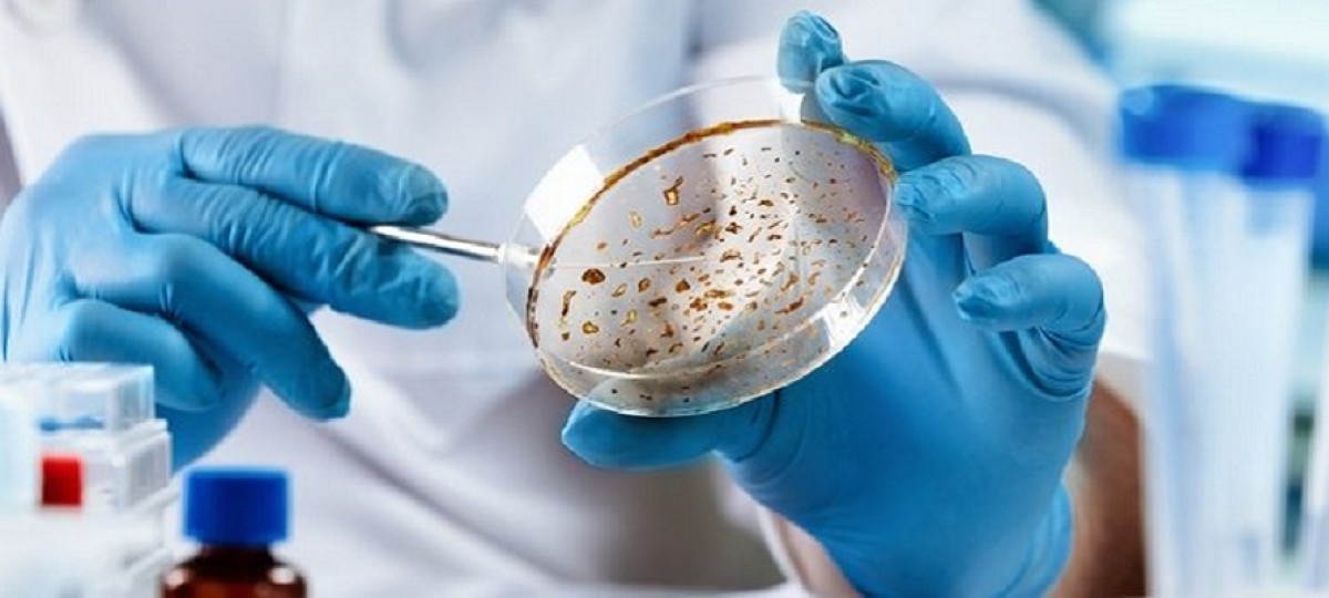 Antibiotici, consumi stagnanti e inappropriati. UE lontana da obiettivi di antibiotico-resistenza