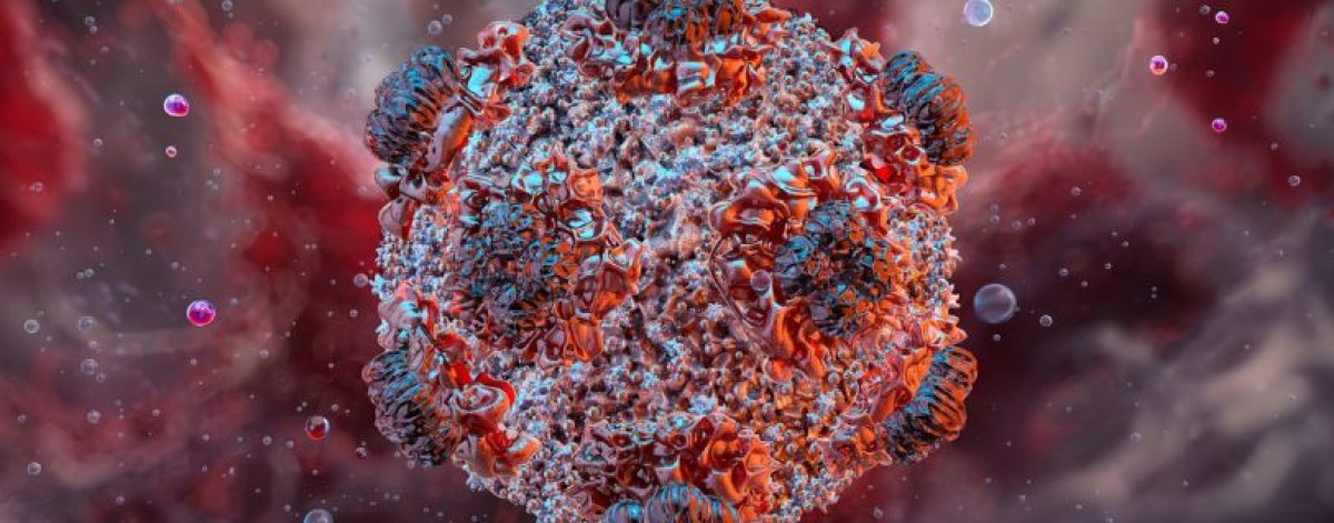 Hantavirus Andes, nuova circolare del Ministero: indicazioni operative su isolamento, Dpi e ricovero