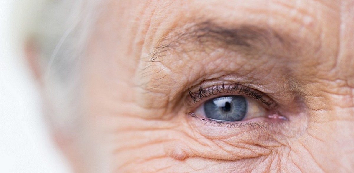Farmaci, disponibile in Italia biosimilare di aflibercept per patologie retiniche dell’adulto