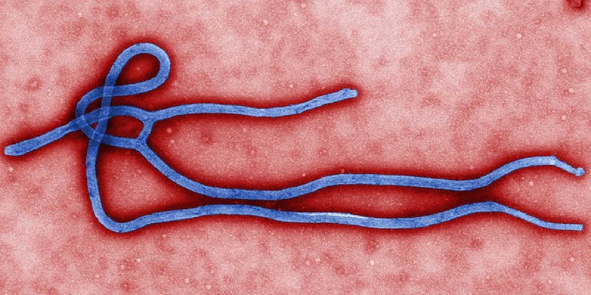 Ebola virus virion medium