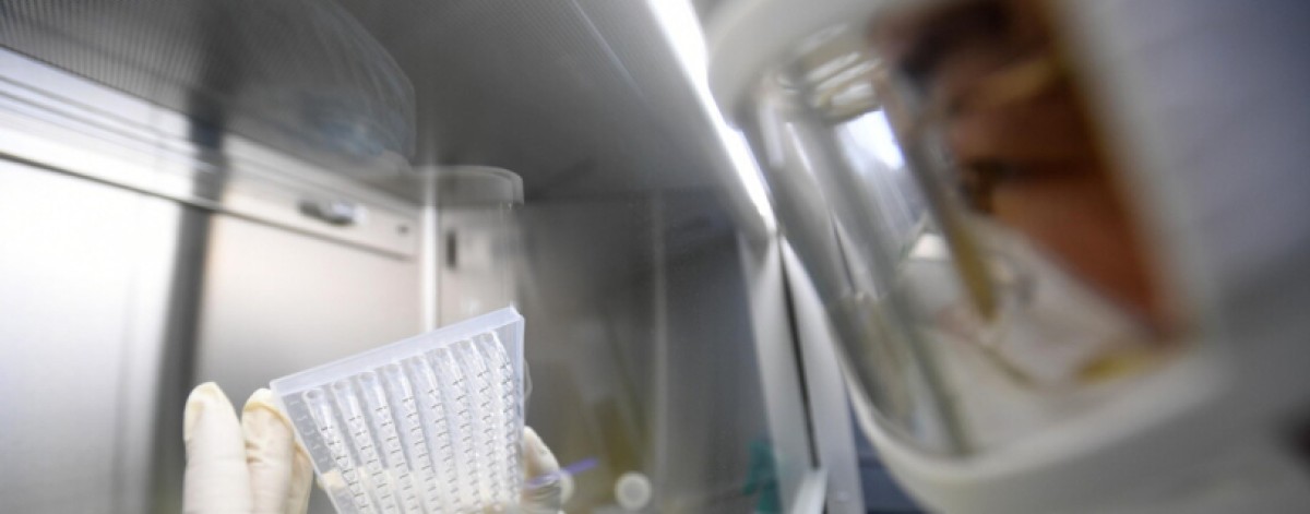 ricerca laboratorio