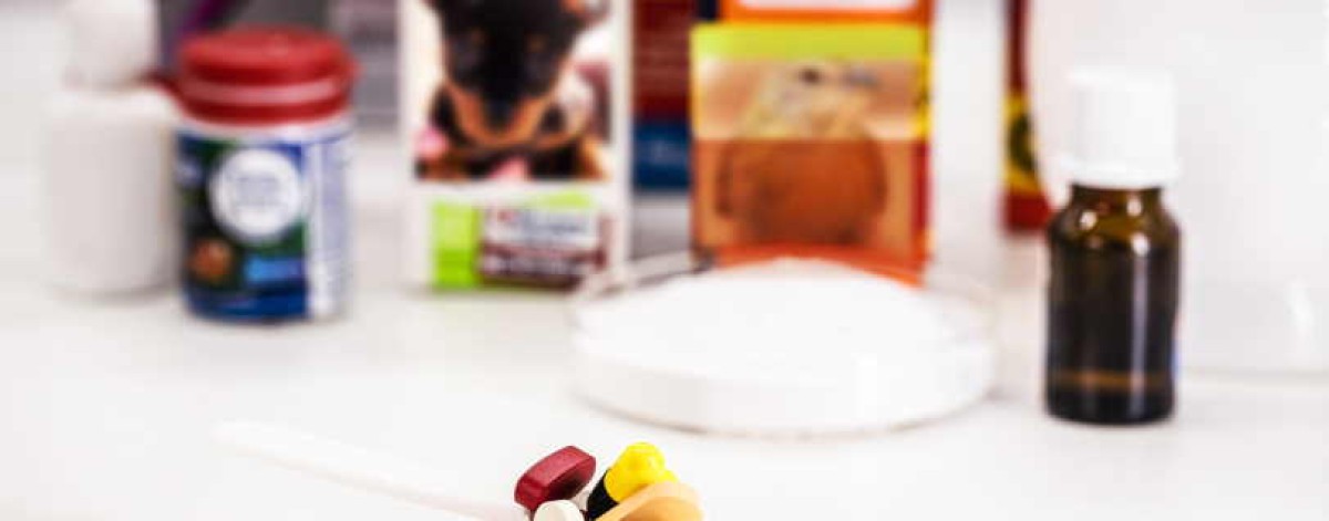 Prodotti veterinari in farmacia, al via un'indagine per fotografare trend e prospettive del settore
