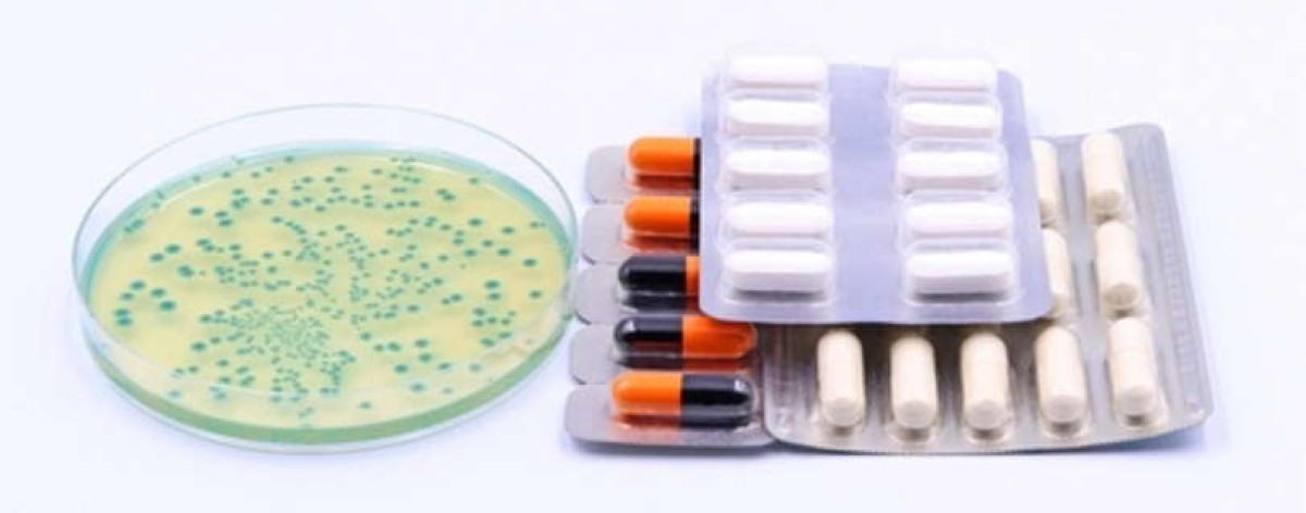 antibiotico petri blister pastiglie large