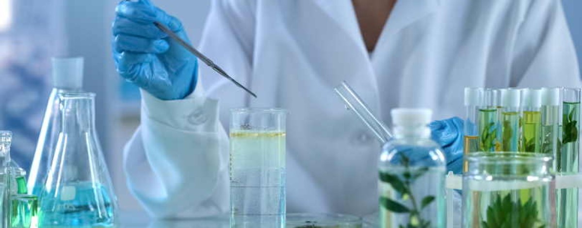 Tossine vegetali, avvelenamento da ricina: che cos’è e perché è pericolosa per la salute