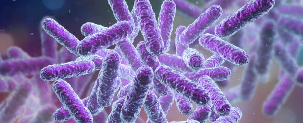 microbioma intestino