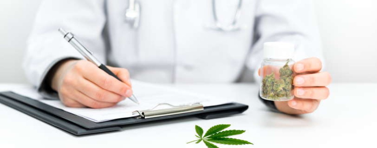 cannabis medica dottore