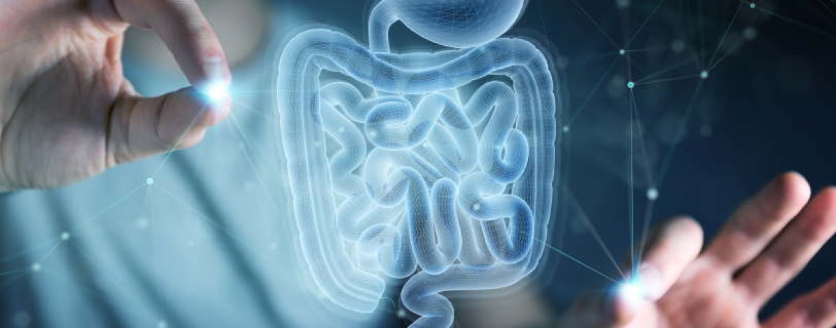 Malattia di Crohn, Aifa approva la rimborsabilità di mirikizumab